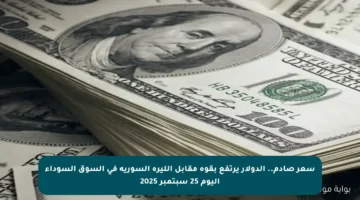 سعر صادم.. الدولار يرتفع بقوة مقابل الليرة السورية في السوق السوداء اليوم 25 سبتمبر 2025